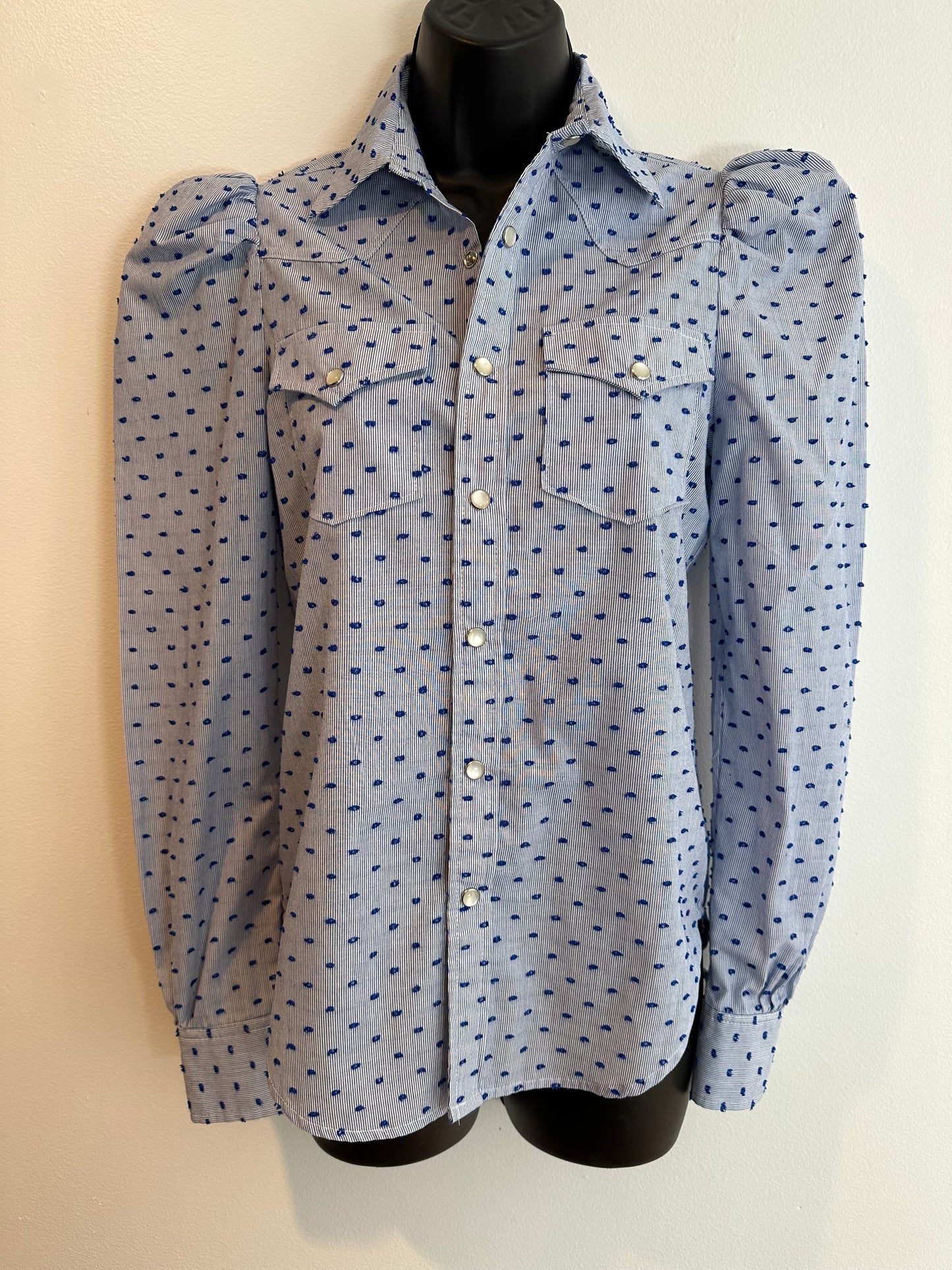 Greyson Womens Blue & White Pin Stripe Swiss Dot Western Shirt, Sz XS