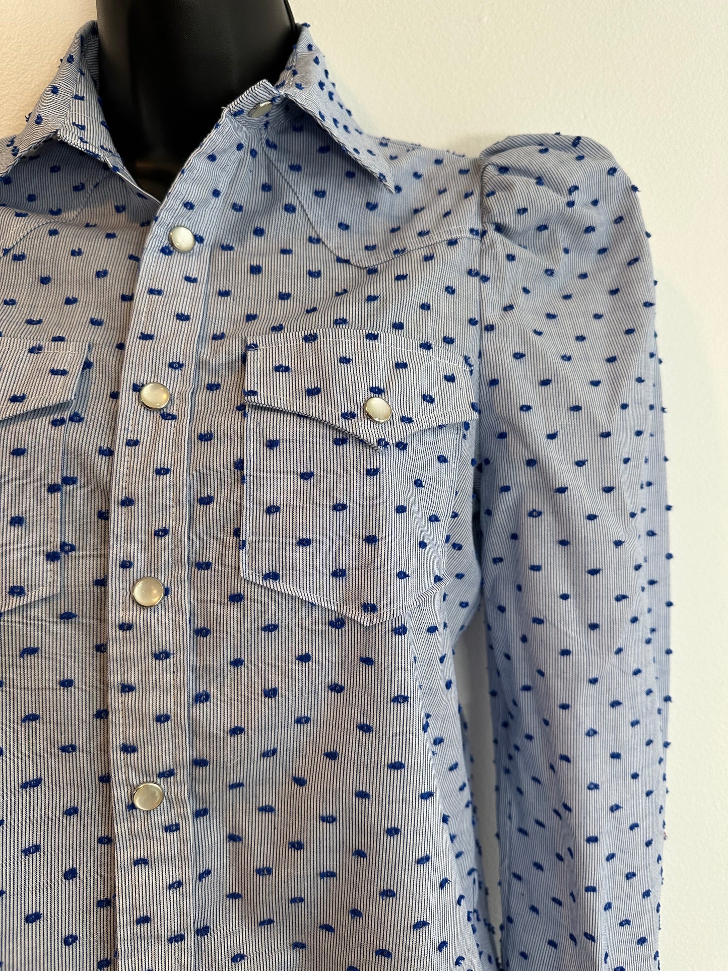 Greyson Womens Blue & White Pin Stripe Swiss Dot Western Shirt, Sz XS